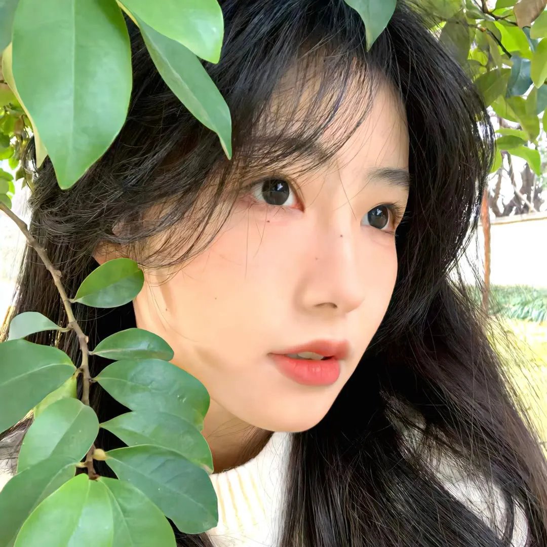 去年在马伦巴